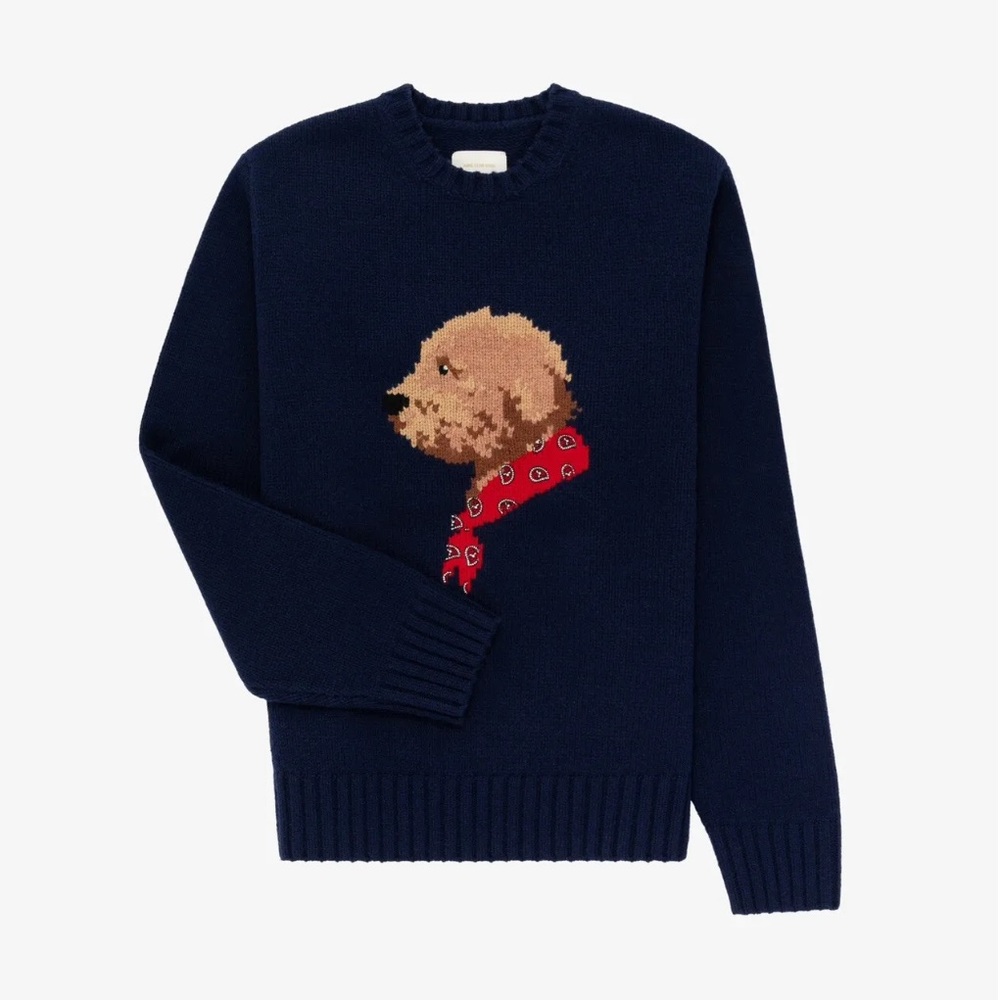 Aime Leon Dore Collegiate Buddy Sweater